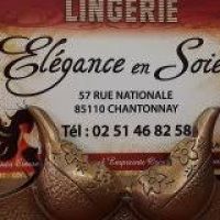 Elégance en Soie