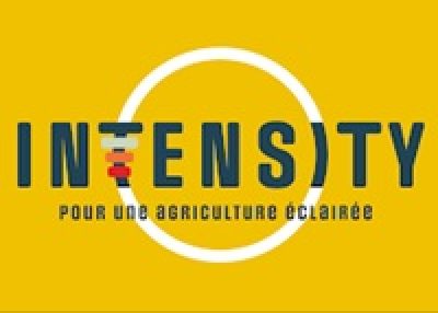 INTENSITY étude d&rsquo;éclairage