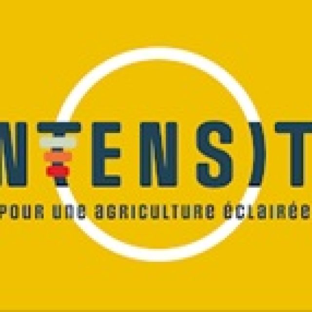 INTENSITY étude d&rsquo;éclairage