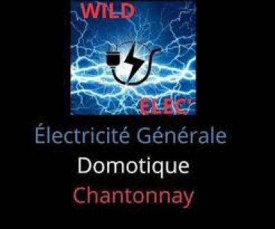 WILD ELEC